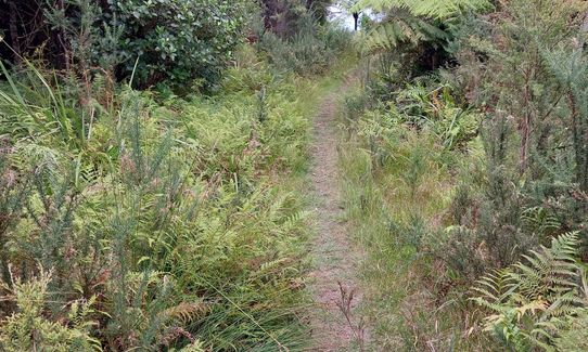 Crosbies Settlement , Waikato