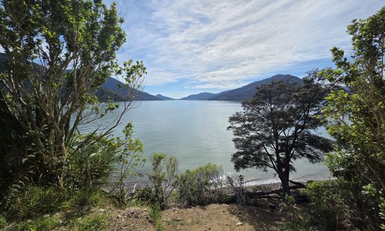 Cullen Point , Marlborough