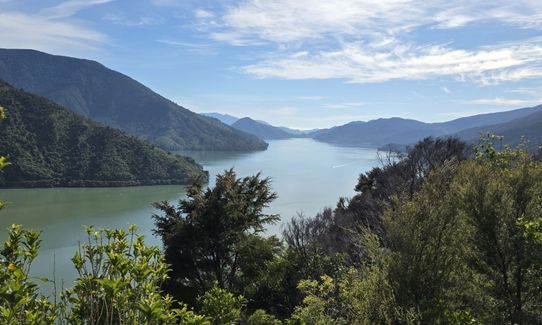 Cullen Point , Marlborough
