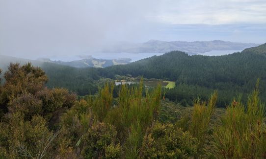 Cutten and Kettle Loop, Otago