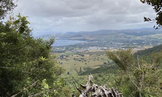 Tauhara Grunt, Waikato
