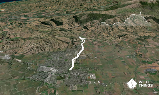 Dam, River and Vines, Marlborough