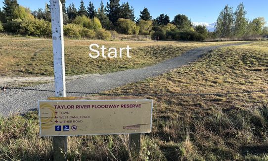 Dam, River and Vines, Marlborough