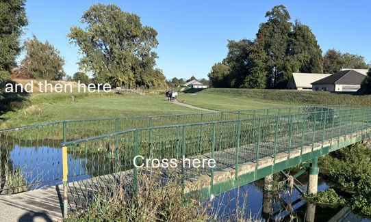 Dam, River and Vines, Marlborough