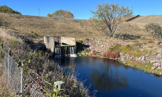 Dam, River and Vines, Marlborough