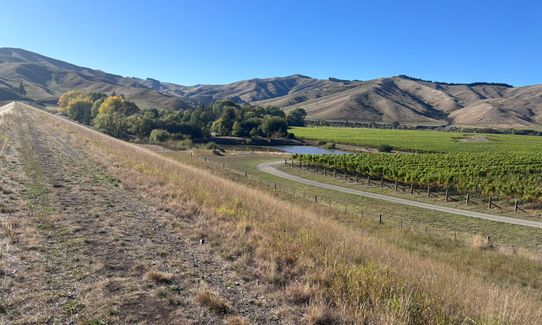 Dam, River and Vines, Marlborough