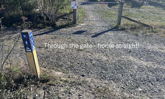 Dam, River and Vines, Marlborough