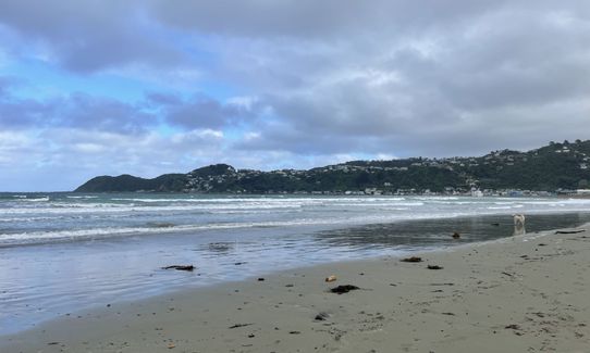 Te Raekaihau Point, Wellington