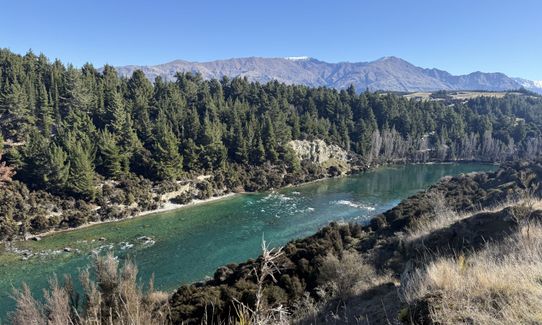 Deans Bank Loop, Otago