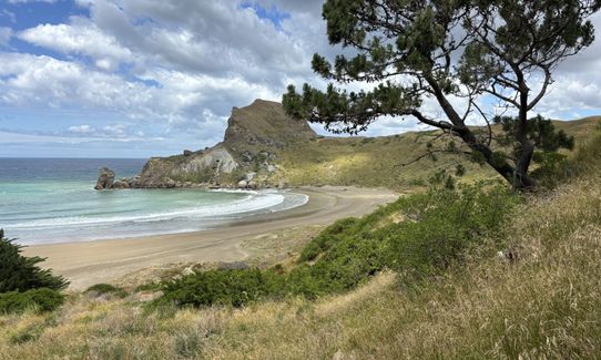 Deliverance Cove & Lighthouse Loop, Wellington
