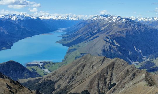 Dingle & Corner, Otago