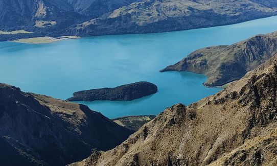 Dingle & Corner, Otago