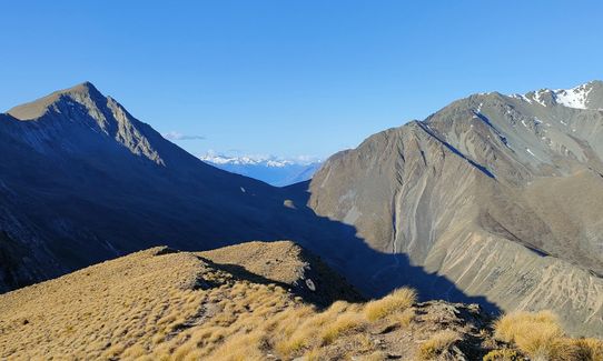 Dingle & Corner, Otago