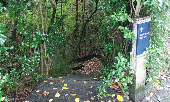 Dingle Dell Path, Auckland