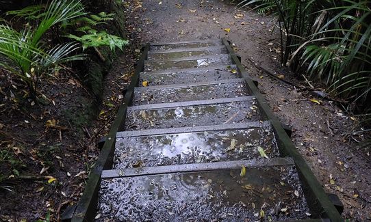 Dingle Dell Path, Auckland