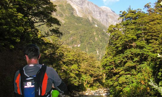 Milford Track , Southland