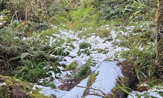 Duffy Creek Route, West Coast