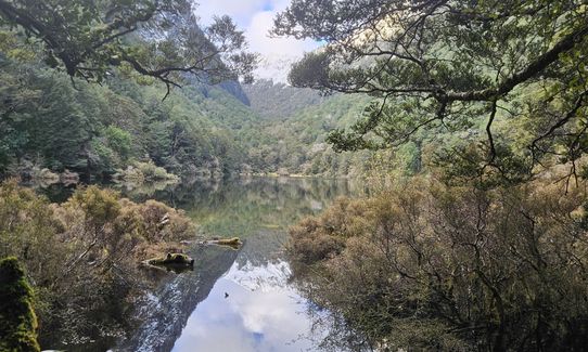 Duffy Creek Route, West Coast