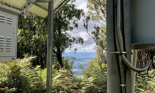 Maungatautari Sanctuary Mountain, Waikato