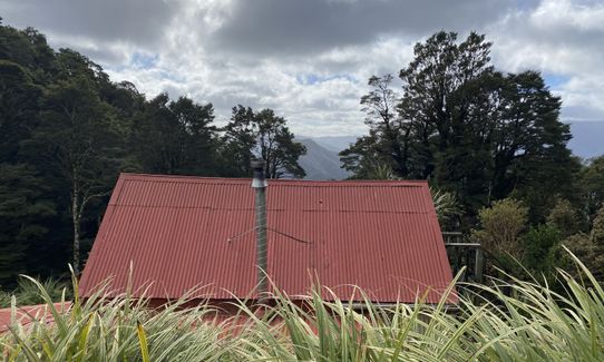 Field Hut Frolic, Wellington