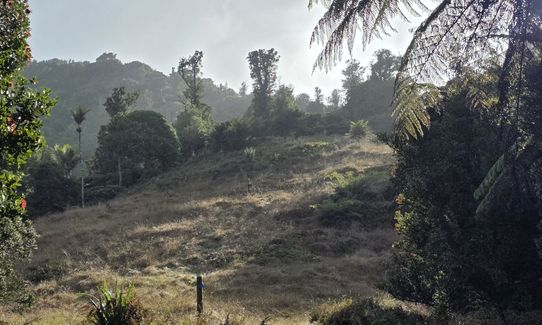 Ed Hillary Hope Reserve Loop, Waikato