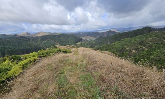Ed Hillary Hope Reserve Loop, Waikato