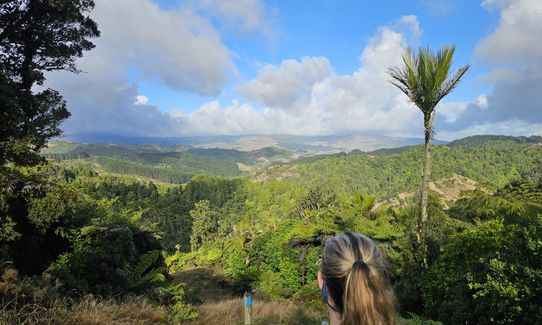 Ed Hillary Hope Reserve Loop, Waikato