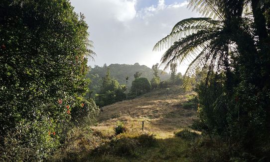 Ed Hillary Hope Reserve Loop, Waikato