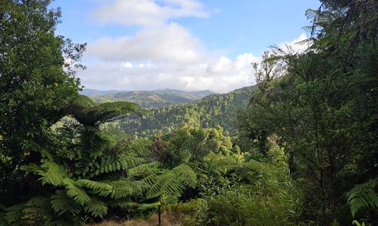 Ed Hillary Hope Reserve Loop, Waikato