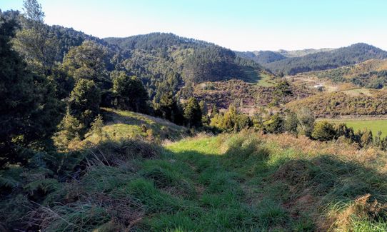Ed Hillary Hope Reserve Loop, Waikato