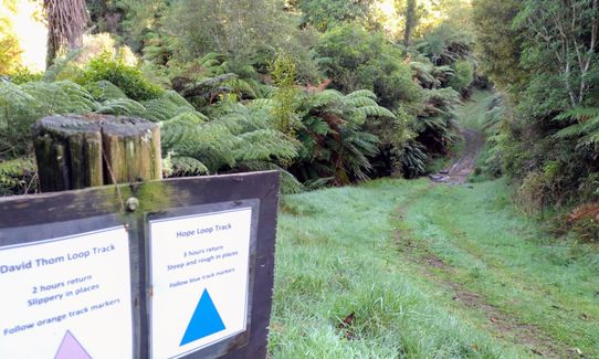 Ed Hillary Hope Reserve Loop, Waikato