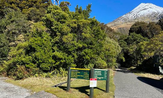 Enchanted Eastern Mountain Loop, Taranaki
