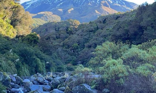 Enchanted Eastern Mountain Loop, Taranaki