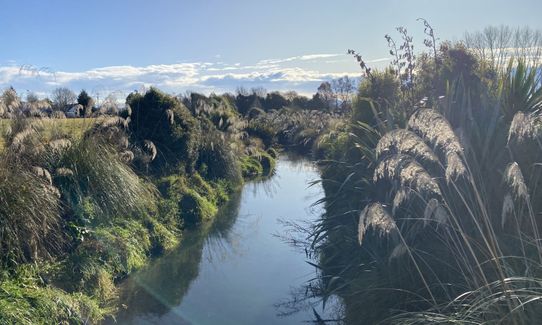 Flat out in Temuka - River Loop, Canterbury