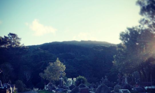 Graveyard Shift, Wellington