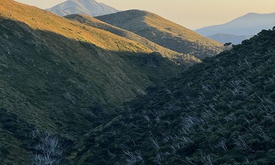 Feathertop via The Razorback, Victoria