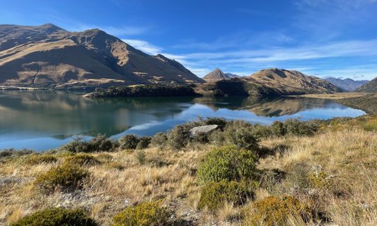 Felic Rising, Otago