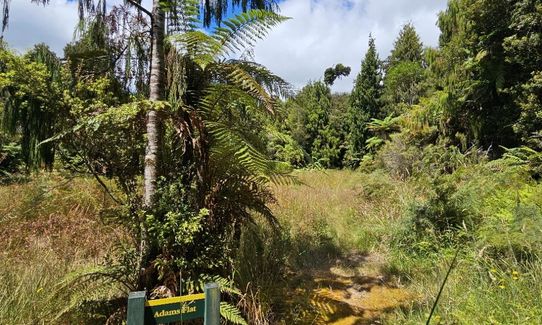 Fenian Caves & Adams Hut, West Coast