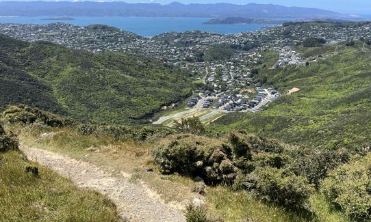 Full Wellington Skyline Trail , Wellington