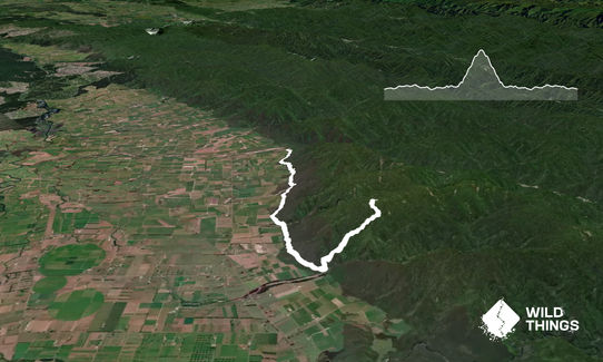 Galatea foothills and Tawhiuau, Bay of Plenty