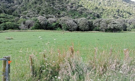 Galatea foothills and Tawhiuau, Bay of Plenty