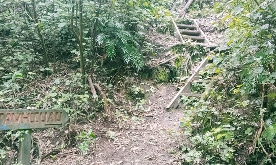 Galatea foothills and Tawhiuau, Bay of Plenty