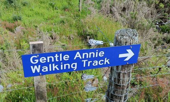 Gentle Annie, West Coast