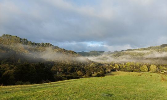Hunua Hillbilly Marathon, Auckland
