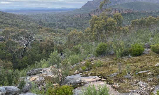 GPT Section 1: Mount Zero to Barigar, Victoria