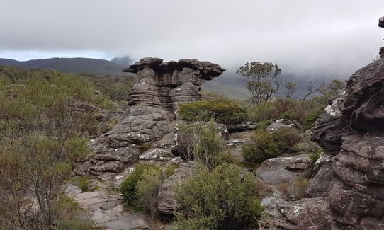 Grampians - Halls Gap to Borough Huts Campground, Victoria