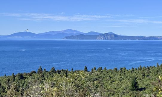 Great Lake Trail Loop, Waikato