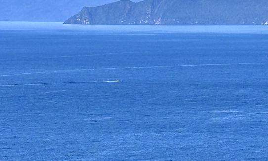 Great Lake Trail Loop, Waikato