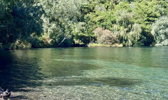 Great Lake Trail Loop, Waikato