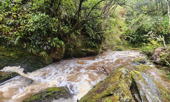Greengauge Loop, Otago